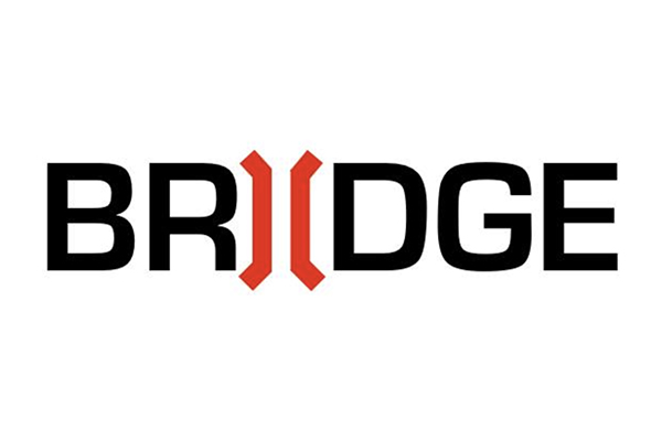 Bridge Biz Dev